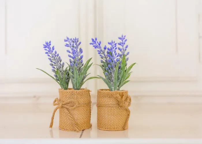 Mara ドゥブロブニク