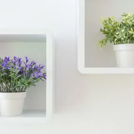 Mara * Дубровник